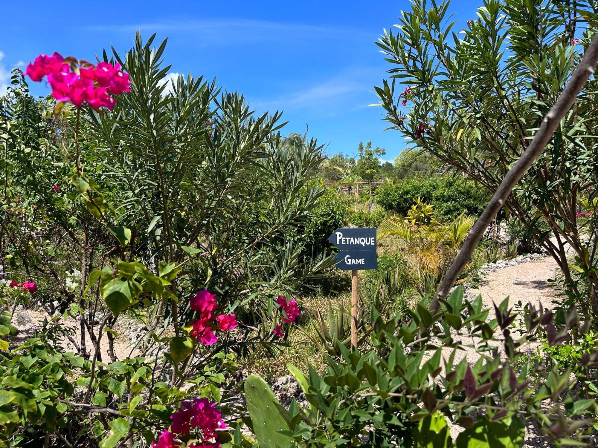 Kameleon Blue Hotel Kizimkazi Bagian luar foto