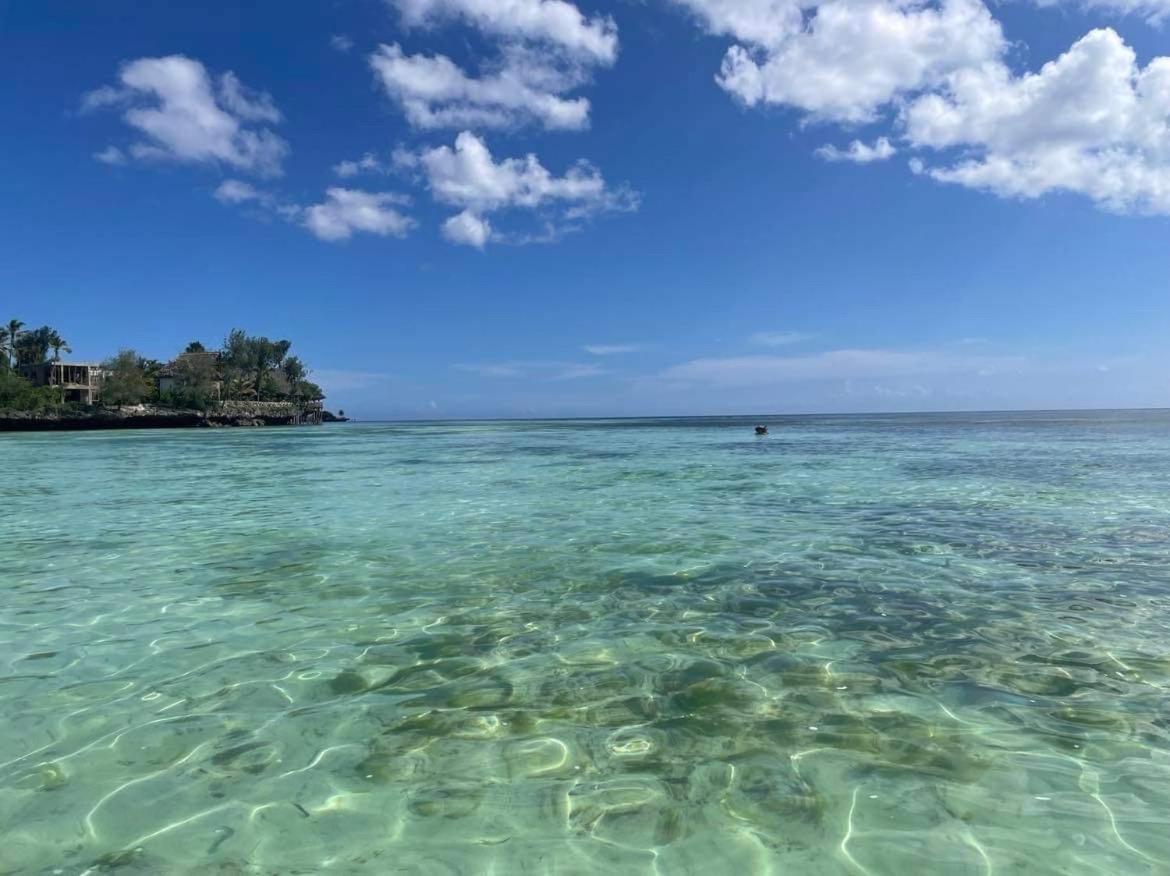 Kameleon Blue Hotel Kizimkazi Bagian luar foto